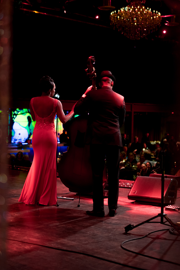 Charitable Events and Fundraising Galas by Albrecht Events